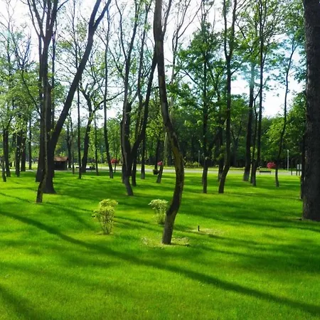 Aldira Arena Nationala Bukarest