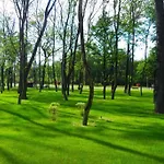 Aldira Arena Nationala Bukareszt