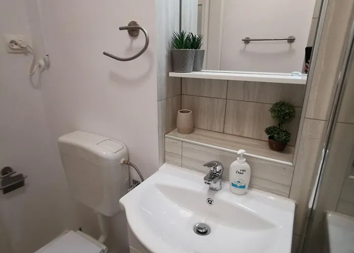 Aldira Arena Nationala * بوخارست