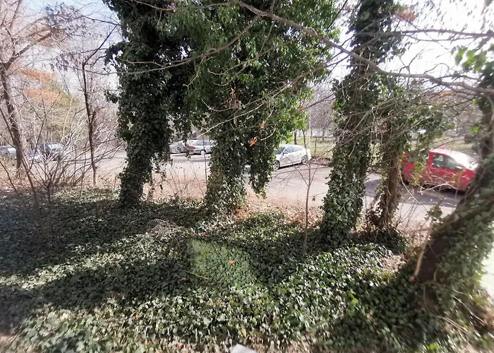 Apartmán Aldira Arena Nationala *