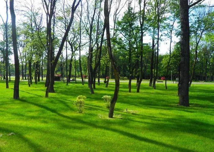 Aldira Arena Nationala بوخارست