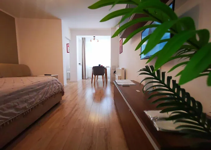 Apartmán Aldira Arena Nationala